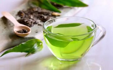 山茶花读后感5篇
