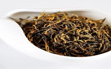 山茶花读后感优质7篇