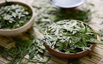 茶花女读后感精选5篇