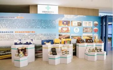 产品的调查报告模板7篇
