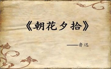 《朝花夕拾》300字读后感推荐7篇