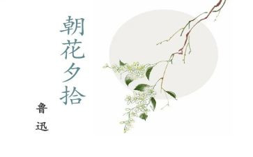 朝花夕拾的读后感800字6篇