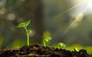 自我成长作文通用6篇