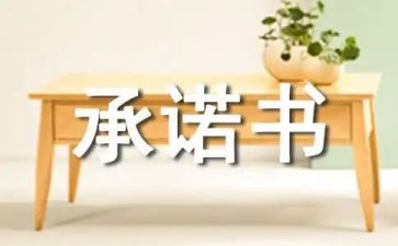 招标人承诺书8篇