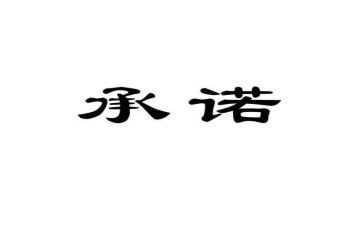 公司廉洁从业承诺书5篇