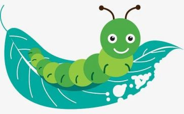 关昆虫记的读后感参考7篇