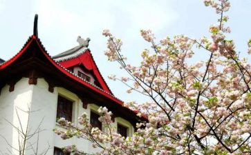川大毕业典礼上的讲话稿精选6篇