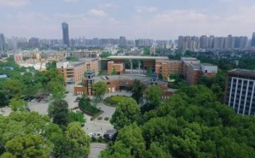 川大毕业典礼上的讲话稿优秀7篇