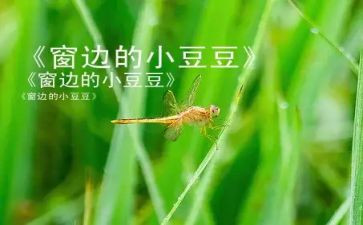 《窗边的小豆豆》读后感作文6篇