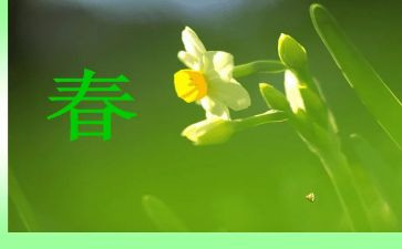 春天里读后感通用7篇