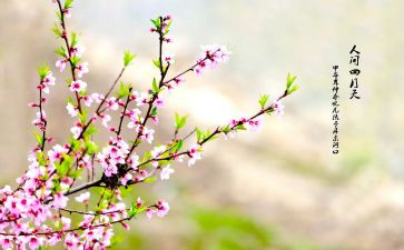 春水读后感100字7篇