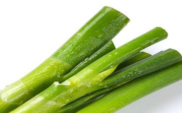 葱和蒜教案科学反思模板6篇