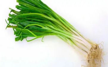 葱和蒜教案科学反思7篇