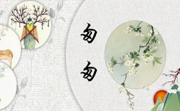 匆匆读后感读后感300字7篇