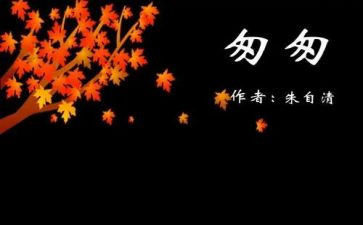 匆匆_的读后感精选8篇