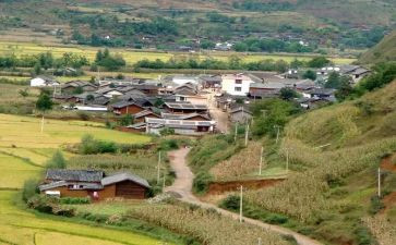 村官培训心得体会6篇