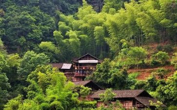 竞职演讲稿村干部5篇