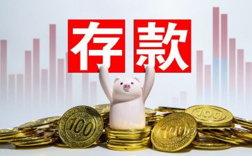 2024年存款保险活动总结7篇