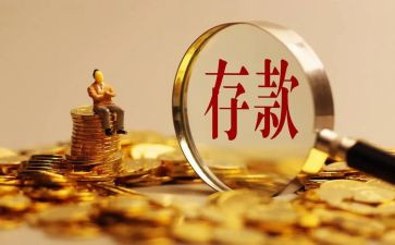 2024年存款保险活动总结5篇