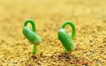 谈面对挫折作文最新8篇