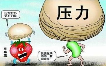 抗挫折的作文优质8篇