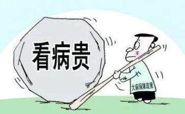 农村大病低保申请书5篇
