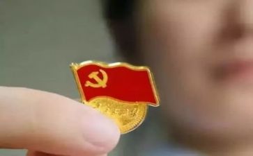 党半年工作总结模板6篇