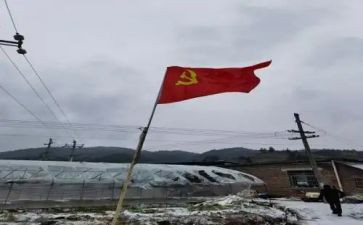学生党员转正演讲稿7篇