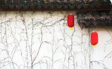 大年初一作文500字8篇