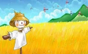 《稻草人》500字读后感推荐7篇