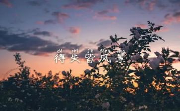 得与失的心得模板5篇