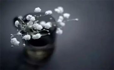 得与失的心得最新7篇