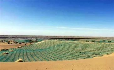 我爱这土地读后感5篇