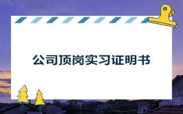 顶岗工作总结通用8篇