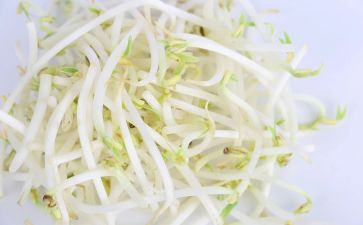 发豆芽作文优质7篇