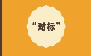 对标对表个人心得体会通用8篇