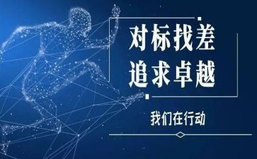 财务对标工作总结模板5篇