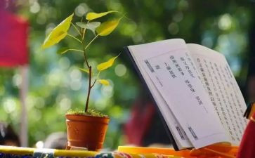中学读经典活动方案8篇