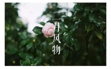 二月工作总结优秀7篇