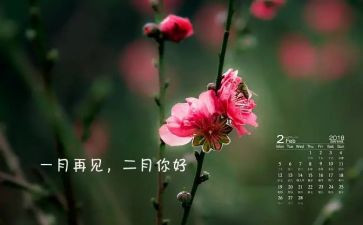 二月小班月工作计划7篇