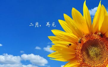 中班二月工作计划8篇