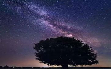 读繁星159读后感参考7篇