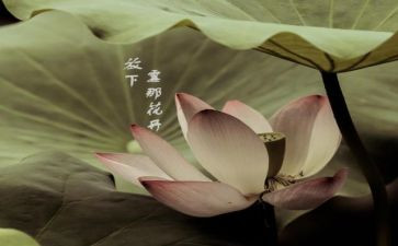 佛说读后感模板8篇