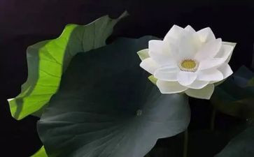 佛说读后感精选7篇
