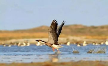 《付出》作文通用7篇