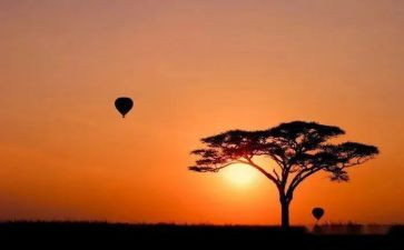 《付出》作文6篇