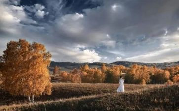 《付出》作文参考6篇