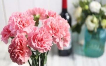 对教师的感恩演讲稿8篇
