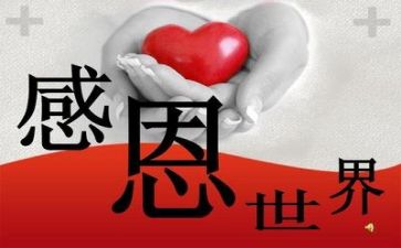 懂感恩的演讲稿范文精选6篇