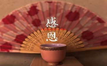 感恩老师的作文演讲稿7篇